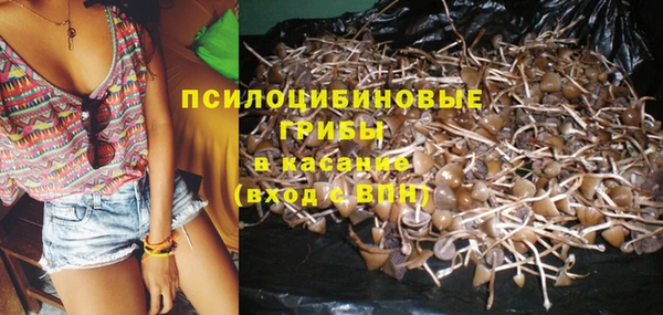 jwh Елабуга