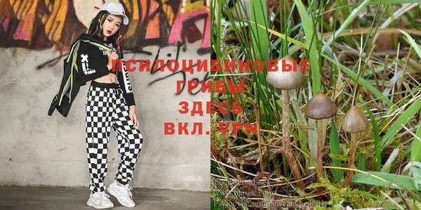 круглые Ельня