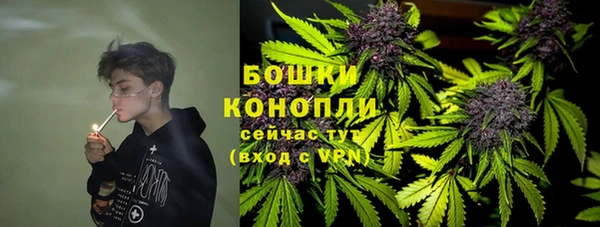 ALPHA-PVP Елизово