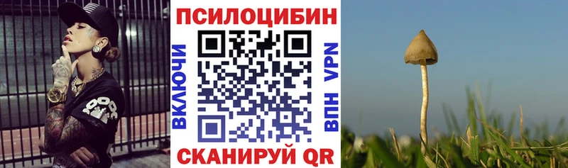 Купить где  Кола  Галлюциногенные грибы Magic Shrooms 