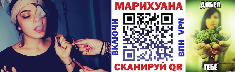 Купить где Кола Канабис планчик